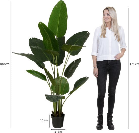 Mica Decorations Künstlicher Bananenbaum im Topf - H180 x Ø30 cm - Grün