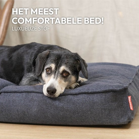 Snoozle Orthopädischer Hundekorb - Weiches und luxuriöses Hundekissen - Hundebett - Waschbar - Hundekörbe - 120 x 90 cm - Stormy Grey