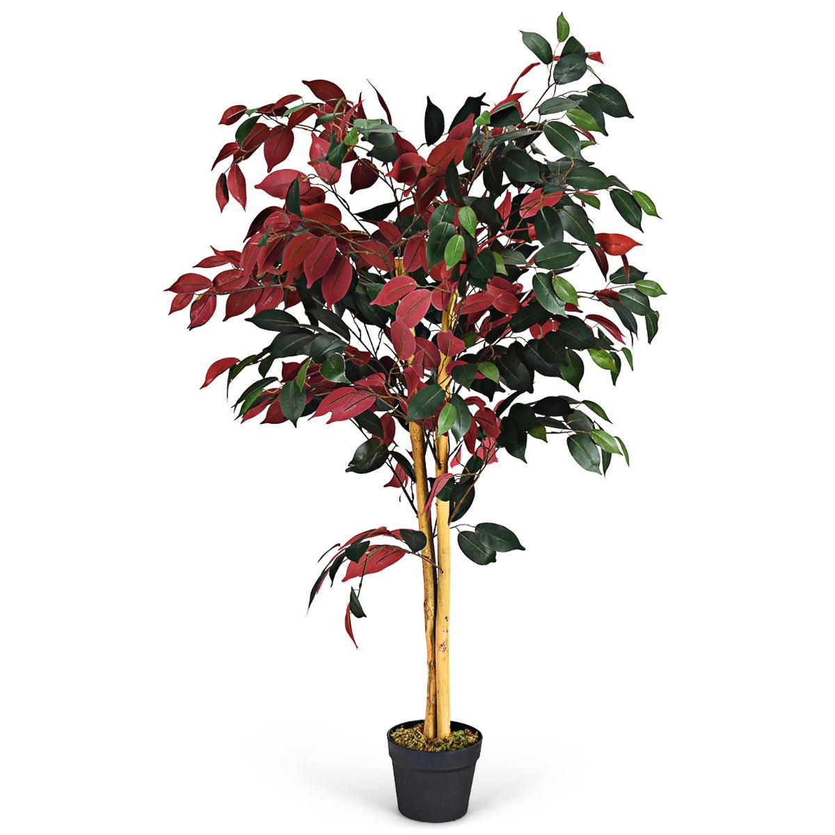 Küste 120 cm großer grüner Ficusbaum im Topf mit Kunstbaum realistische Grünpflanzen