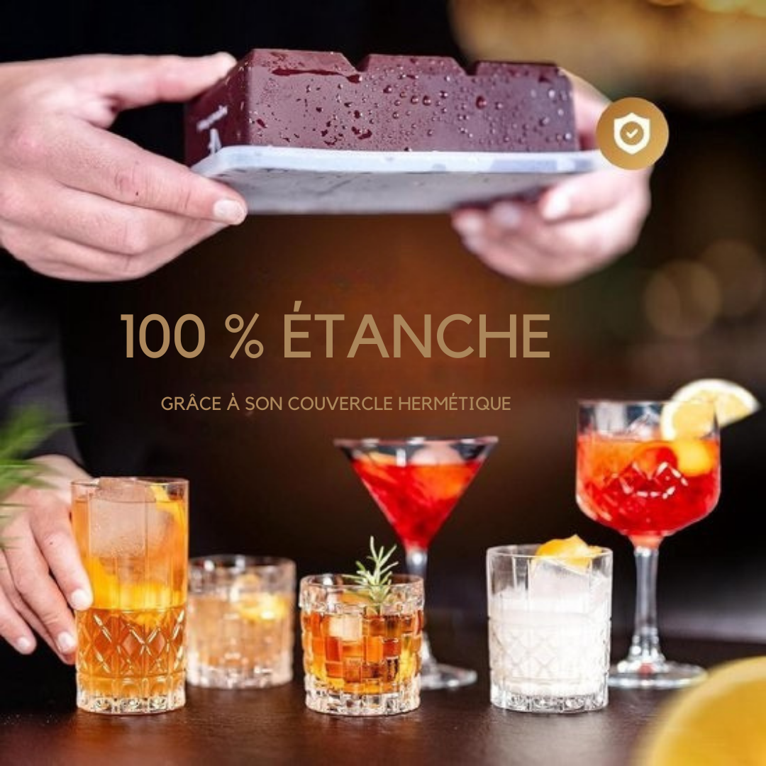 Neighbour's Friend Eiswürfelform - XXL-Silikonformen im 2er-Pack - Spülmaschinenfest - Würfel 5 x 5 cm - Braun