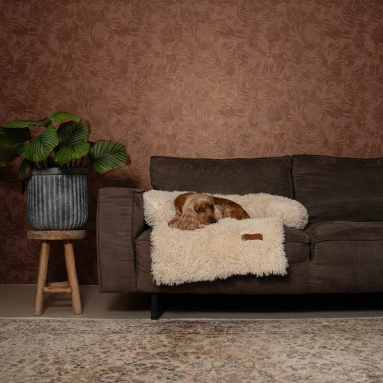Von Cee Cee - Original Hundedeckenbank - Hundedeckenbank - Hundekorb - Premium - komplett abnehmbar - Beige - Größe M - 90x90