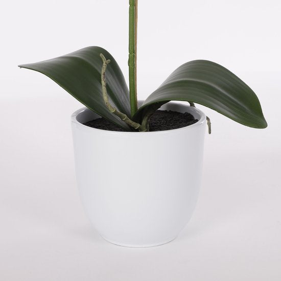 Mica Decorations Phalaenopsis-Kunstpflanze im Blumentopf „Tusca“ – H 60 x Ø 16 cm – Lila