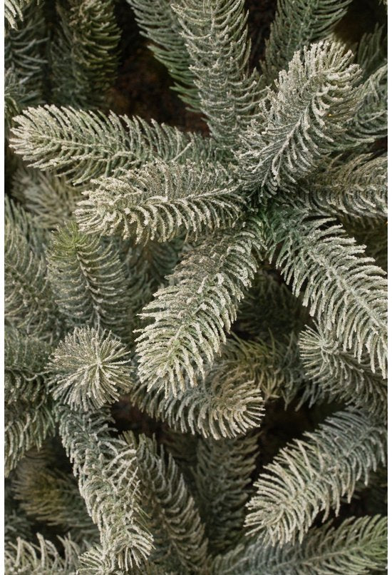Black Box Trees Nagoya Kunstweihnachtsbaum – H 120 x Ø 79 cm – Grün, matt