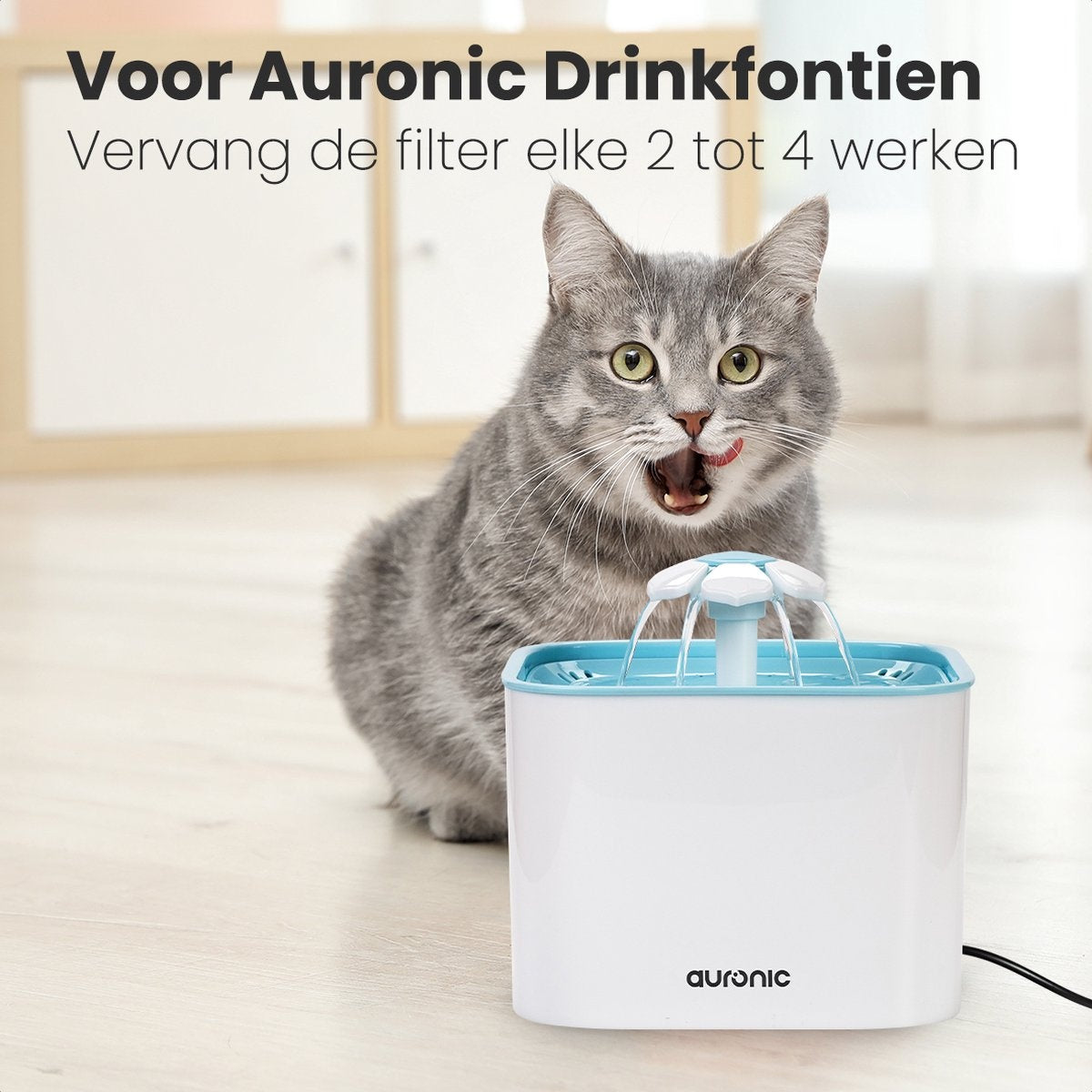 Auronic Trinkbrunnenfilter - 6 Stück - 3-lagig - für Auronic Trinkbrunnen AU3014