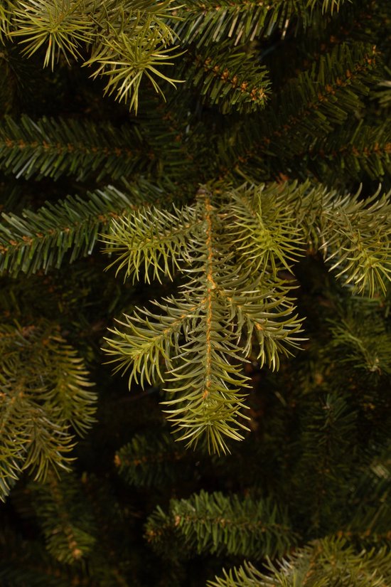 Black Box Trees Clive Künstlicher Weihnachtsbaum - H230 x Ø147 cm - Grün