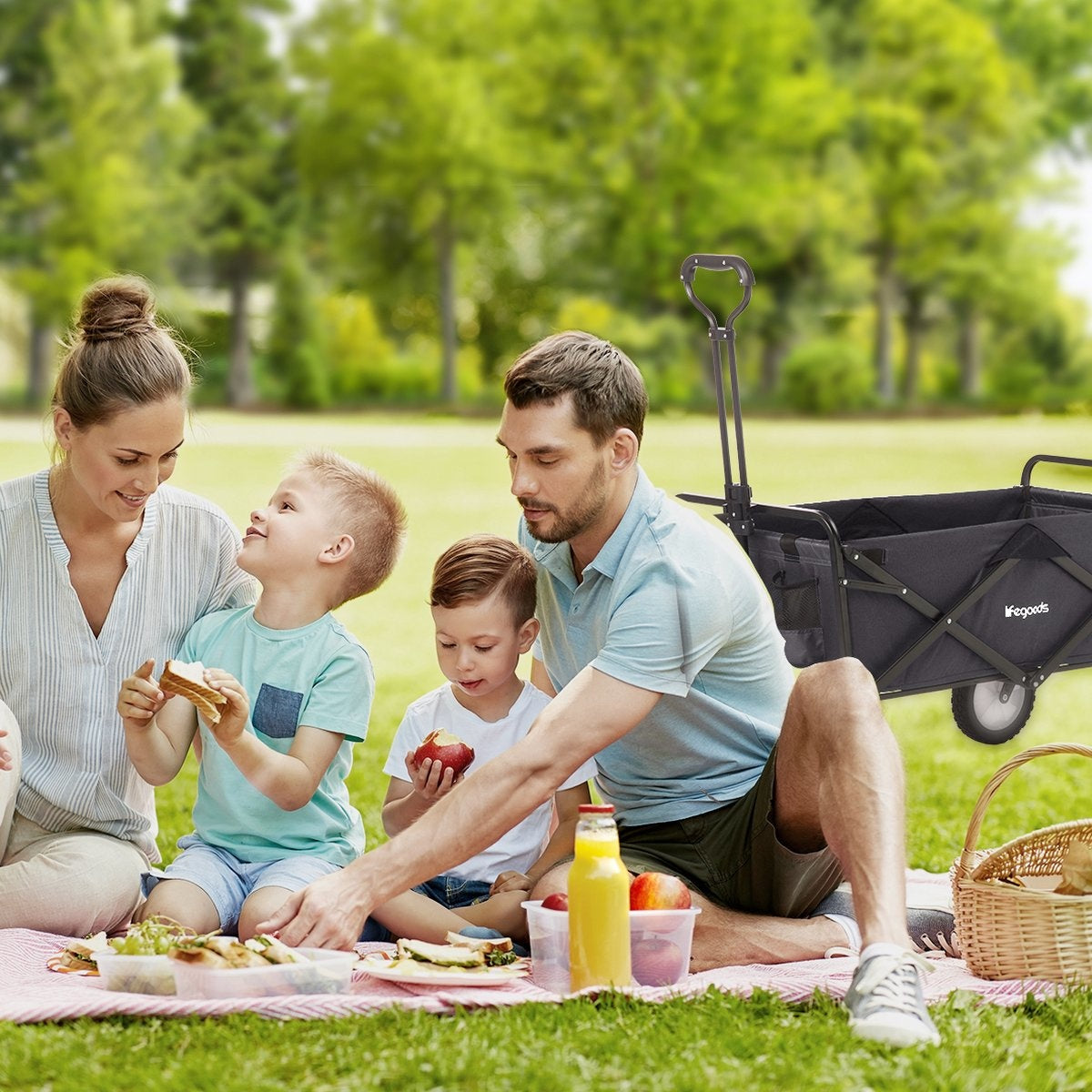LifeGoods Bollerwagen - faltbar - drehbare Räder - 2 Ständer - 70kg Tragfähigkeit - Schwarz