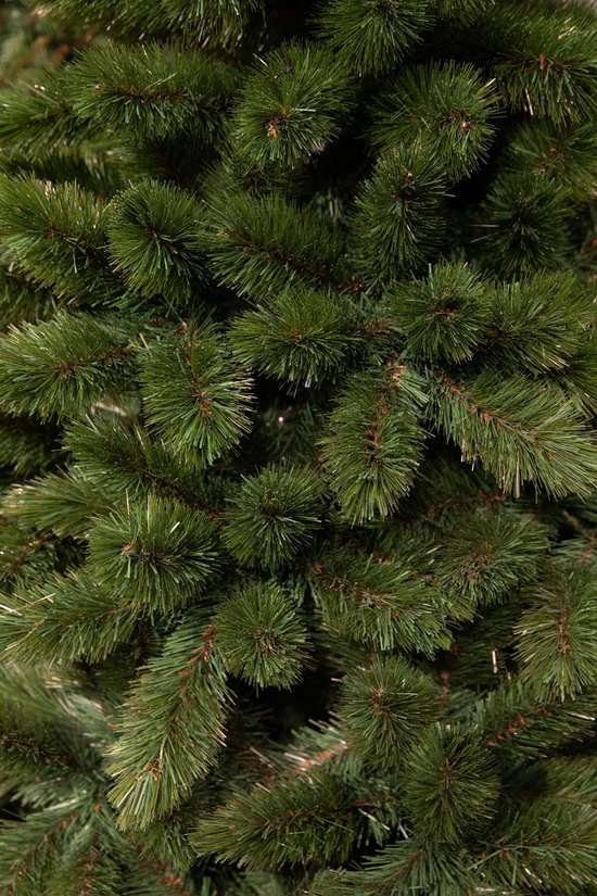 Triumph Tree Tsuga Weihnachtsbaum – Volles und natürliches Aussehen mit 1502 Zweigen – Weihnachtsdekoration für den Innenbereich – Kunstbaum, einfach und schnell aufstellbar – Grün, H 260 x Ø 160 cm