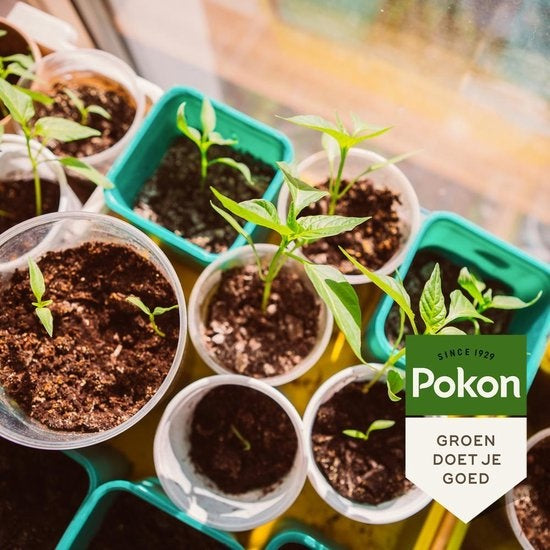 Pokon Bio Seed and Seedling Soil - 10l - Blumenerde (Bio) - Stimuliert die Wurzelentwicklung