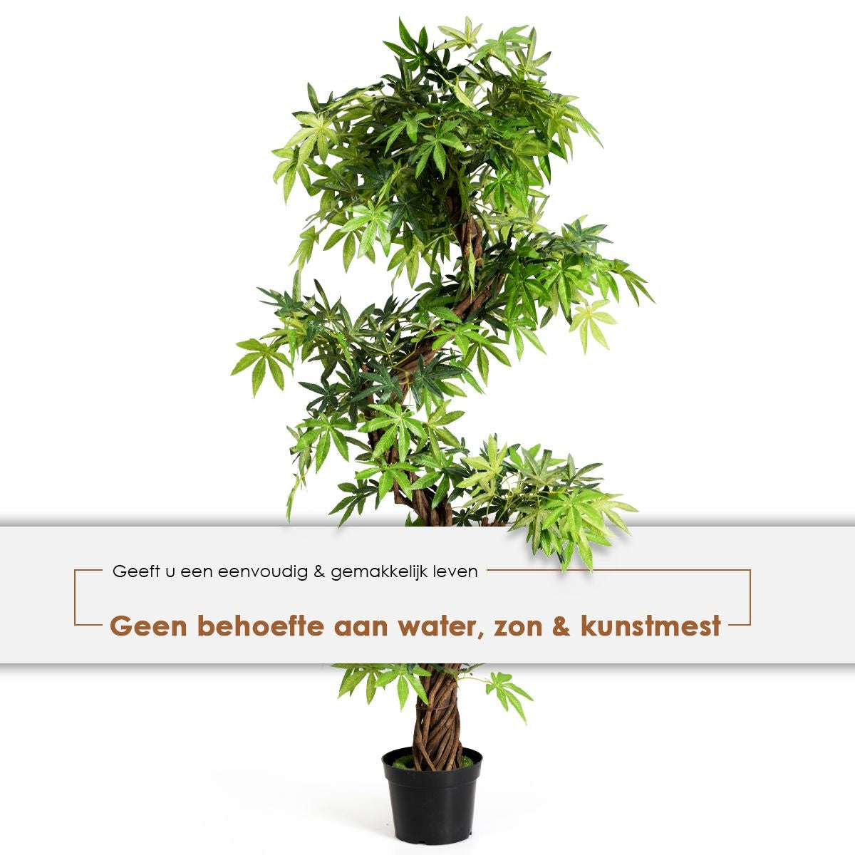Coast Art Bonsai - PVC - 160 cm - Für den Innen- und Außenbereich