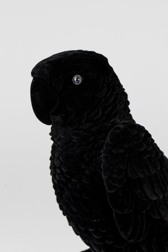 Bold Monkey Papagei Lampe - LED - Samt & PVC - 17 x 19 x 33cm - Schwarz