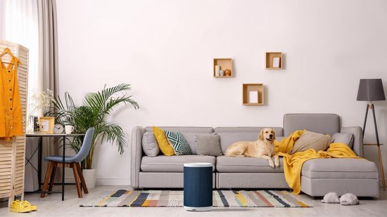 Aeris Luftreiniger AAIR Lite Farbe Nimbus Cloud Grey