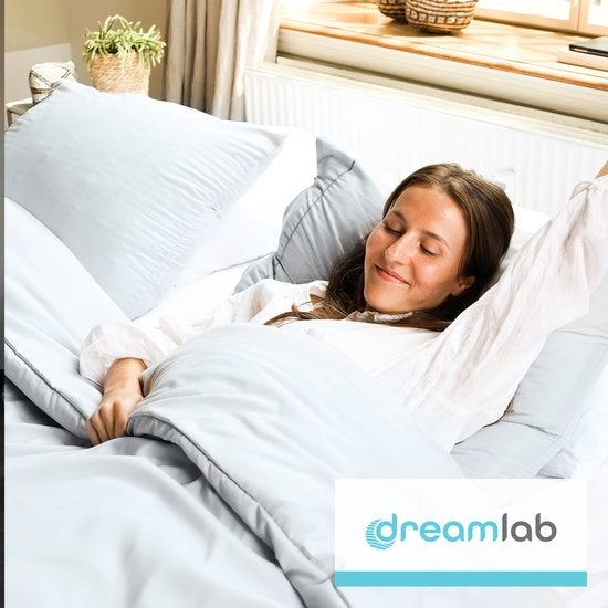 Dreamlab Dekbedovertrek set - 240 x 200/220 cm - Beddengoed met kussensloop - Twee persoons - Vier seizoenen - Microvezel - Stone Gray
