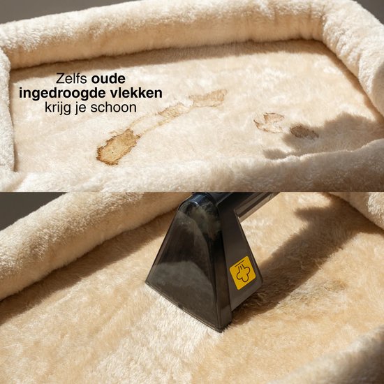 Achaté Fleckenreiniger PRO - Teppichreiniger mit Dampf & Heißwasser - Dampfreiniger - Sofareiniger - Sitzreiniger - Möbelreiniger - Matratzenreiniger - Autositzreiniger - Textilreiniger - Reinigungsmaschine für Teppich, Sofa, Auto, Matratze