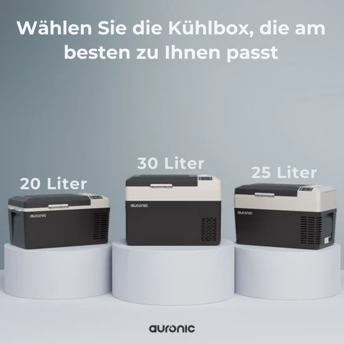 Auronic Electric Cool Box - Frigobox - Kompressor - 12V 230 Volt - Auto - 30L - Schwarz/Grau