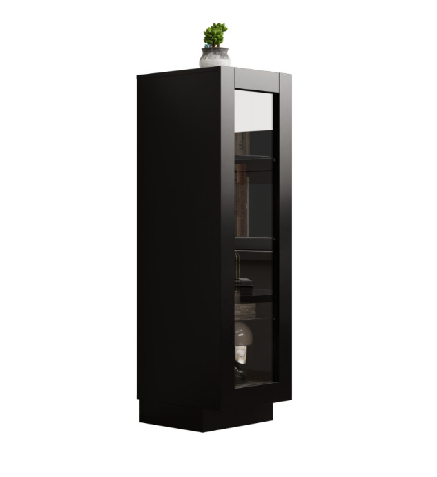 VDD Home Vitrine mit Glastür – Schwarz – 37 x 39,5 x 120,5 cm