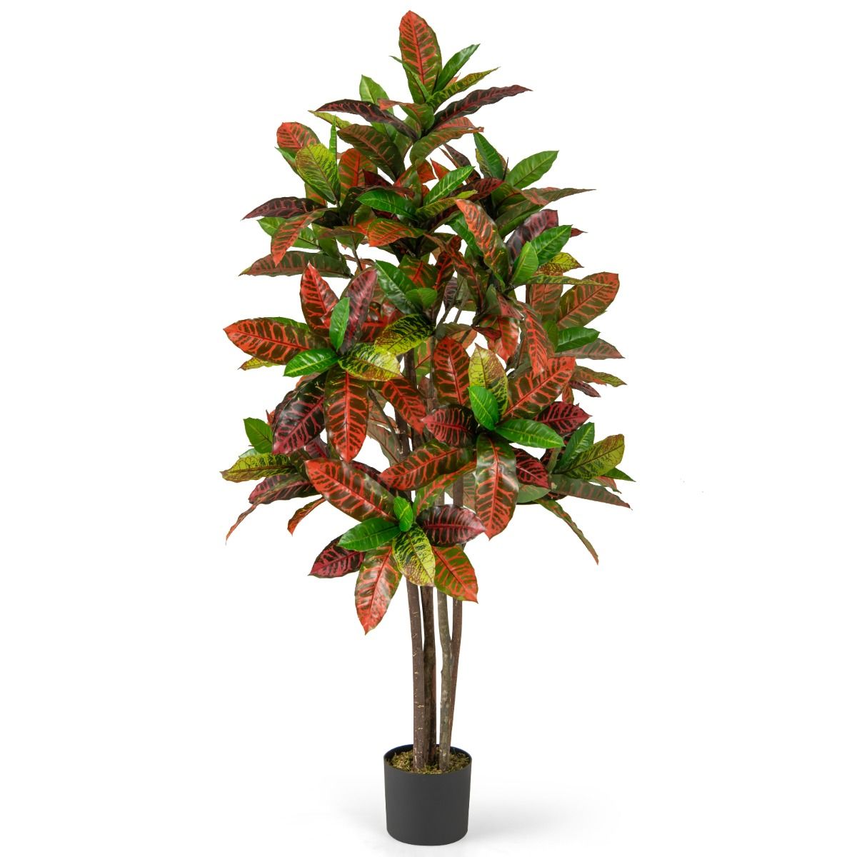 Coast Kunstpflanze Croton-Palme – Stamm aus echtem Holz – farbenfrohe Blätter – 150 cm