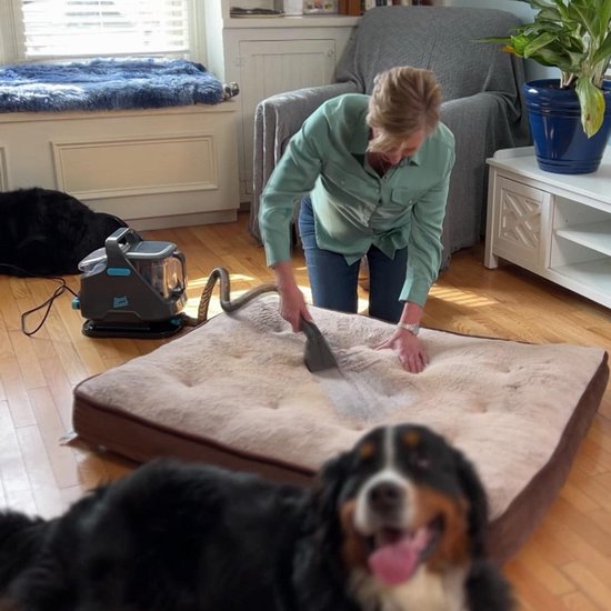 Lvington Spot Blast Wasserstaubsauger – Teppichreiniger – Polsterreiniger für Auto oder Sofa – Reinigungsgerät – 650 W – Textilreiniger – Entfernt Flecken – Reinigt, schrubbt und saugt – Intelligentes Doppeltanksystem