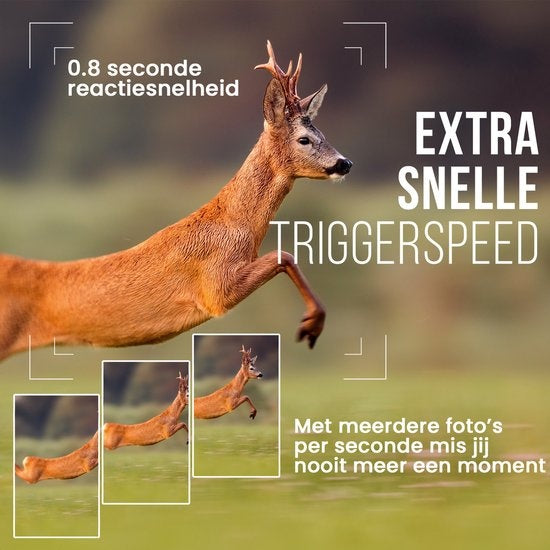 Strex - Wildtierkamera - mit Nachtsicht - 16MP - 1080P Full HD - Wasserdicht - Jagdkamera - Camouflage