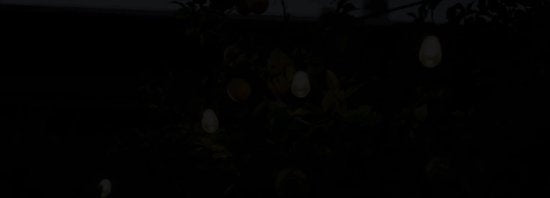 SHINE - Lichterkette für den Außenbereich - Solarbetriebene Lichtergirlande - Solar Led Prick Cord - Partybeleuchtung - Glühbirnengirlande - Gartenbeleuchtung - Vintage Classic Atmosphere Lighting - 8.3 Meter - 12 Led E27 Glühbirnen mit Fernsteuerung