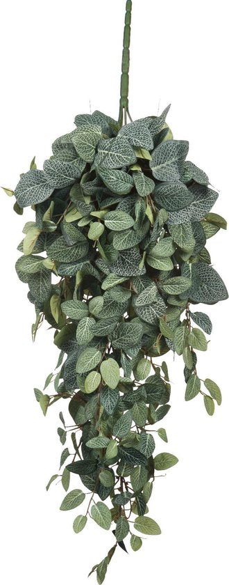 Mica Decorations Pilea Künstliche Hängepflanze - L20 x B30 x H70 cm - Grün