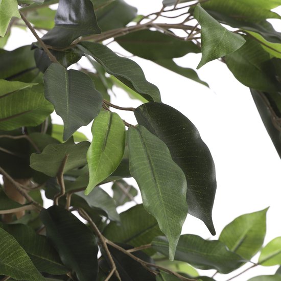 Mica Decorations Ficus Künstliche Pflanze - H110 x Ø65 cm - Grün