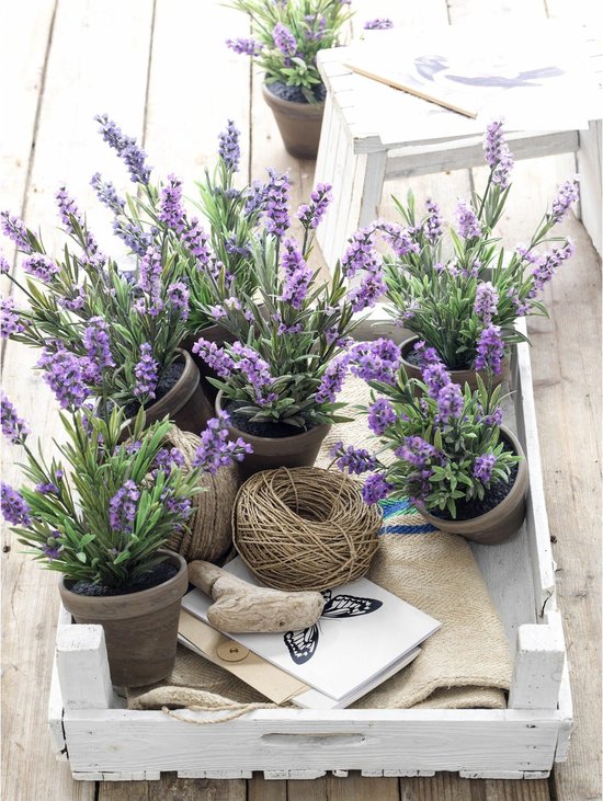 Mica Decorations Kunstpflanze Lavendula/Lavendel – grün/lila – D22 x H33 cm – grauer Topf – Zimmerpflanze – Kunstblumen