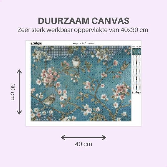 RubyeÂ® Diamant-Malerei Erwachsene - Diamant-Malerei Kinder - Diamant-Malerei Komplettpaket - Vögel & Blumen - 40x30cm
