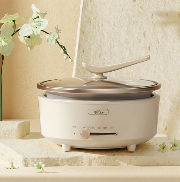 Bear – DHG-P50F1 – Elektrischer Hotpot 5 l – 36,9 x 31,2 x 23,6 cm