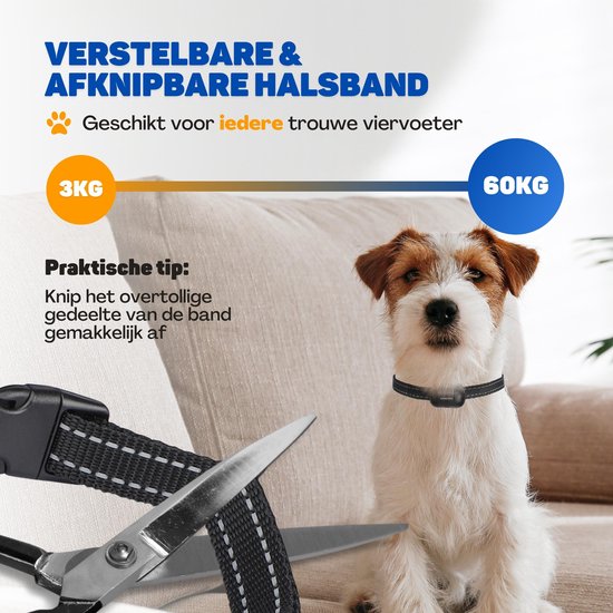 Vulpes Goods® - Pets - Anti-Bell-Halsband Max mit Fernbedienung - 3-in-1 Erziehungshalsband ohne Schock - manuell & automatisch - wiederaufladbar - Vibration, Audio & Ultraschall