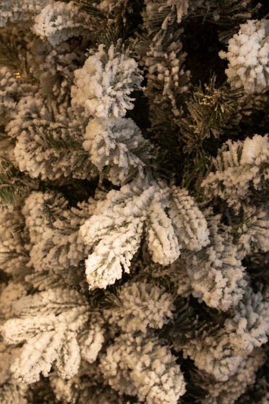 Black Box Trees Harma Schmaler Künstlicher Weihnachtsbaum - H230 x Ø69 cm - Grün gefrostet