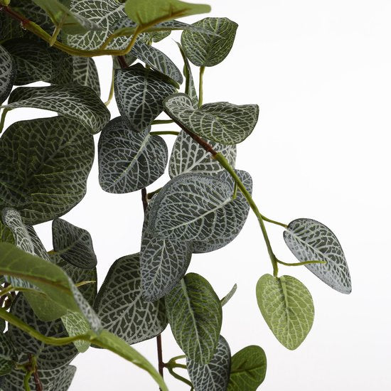 Mica Decorations Pilea Künstliche Hängepflanze - L20 x B30 x H70 cm - Grün