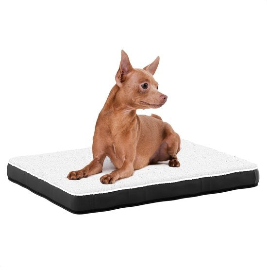 Avalo Orthopädisches Hundekissen S - 45x65 cm - Waschbar / Memory Foam / Anti-Rutsch - Orthopädischer Hundekorb