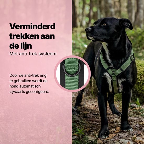 Jake und Jacky Hundegeschirr Hund Medium - Anti-Pull-Geschirr - Y-Geschirr Hund - Hundegeschirr - Grün - Größe M