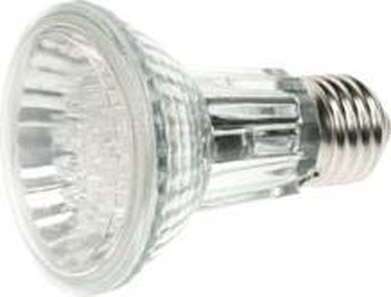 Par20 Led Lampe - 24 Leds - Kaltweiß - 6400K