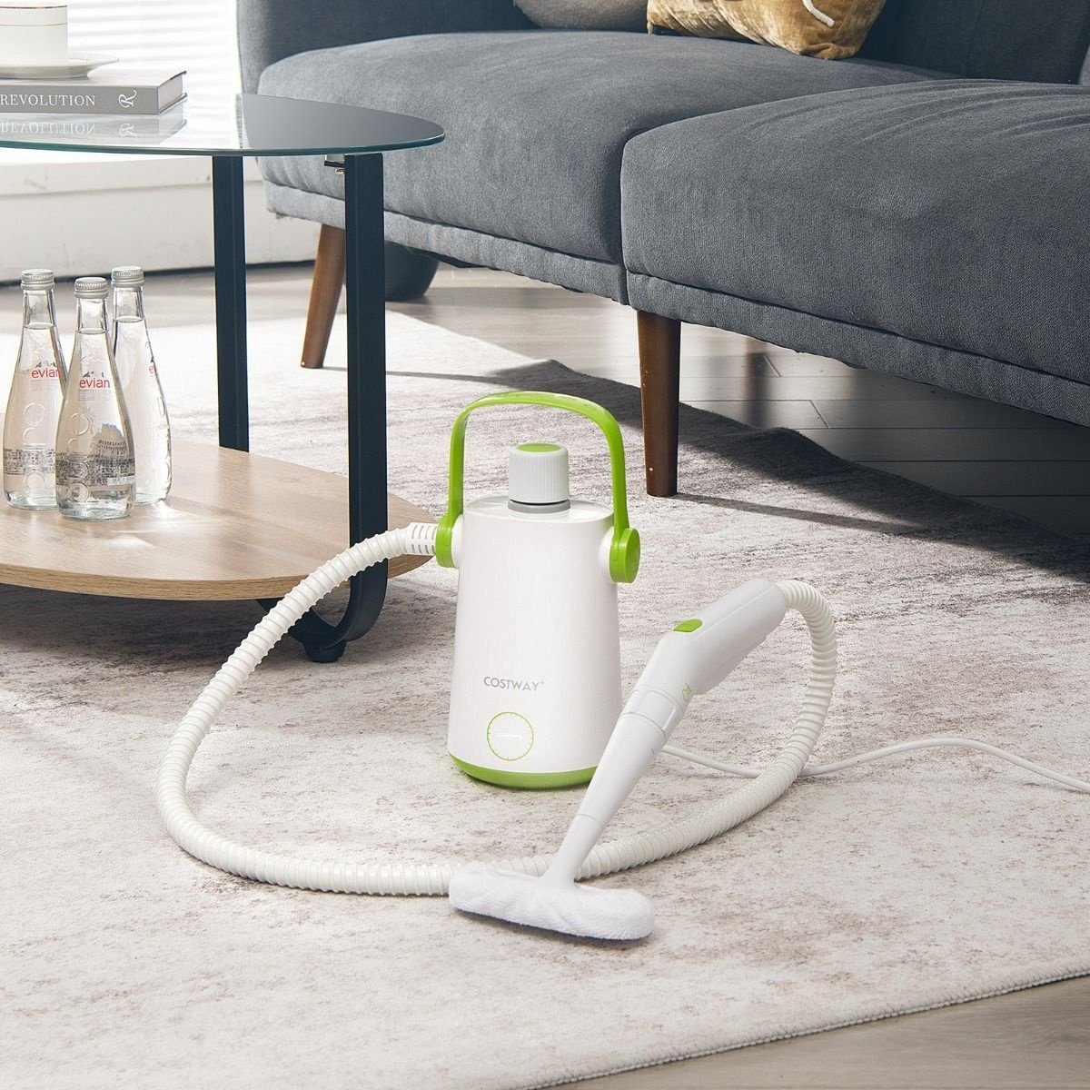 Coast Handdampfreiniger - einschließlich 10 Zubehörteilen - 1000W - 300ML Wasserkapazität - 14 x 12 x 25 cm - Grün/Weiß