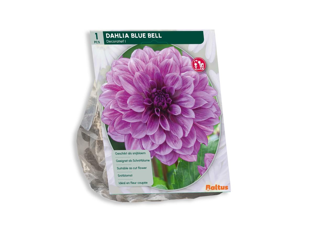 Baltus Blumenzwiebelmischung Dahlia Blush – 30 Stück – Mischung aus blühenden Dahlien