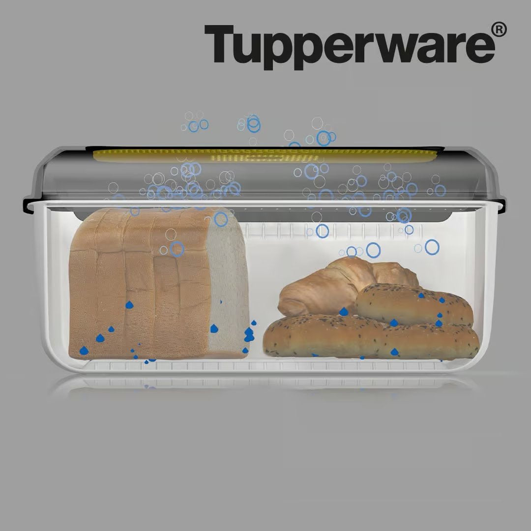 Tupperware BreadSmart Brotdose – inklusive praktischer Trennwand – 100 % BPA-frei – hält Brot länger frisch