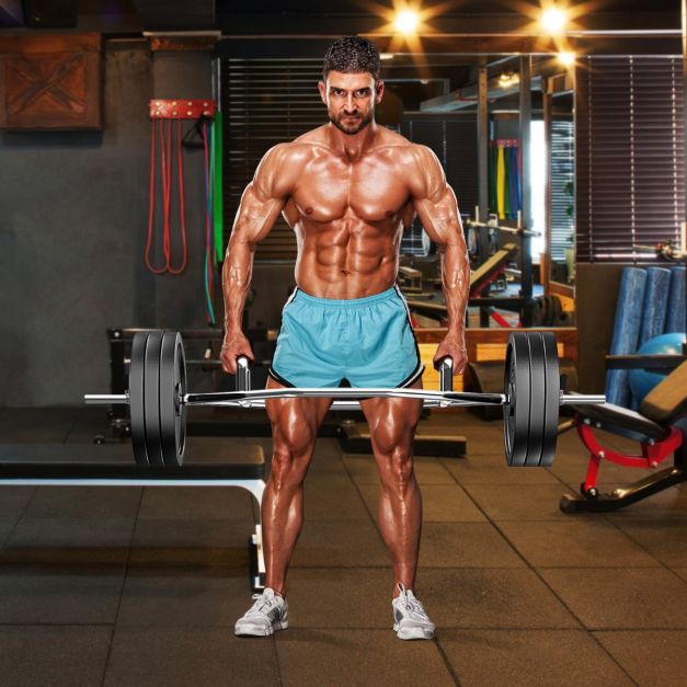 Coast Olympic Hex Bar - 120 cm | Silber Klimmzugstange mit flachen & gerändelten Griffen für Squats und Deadlifts