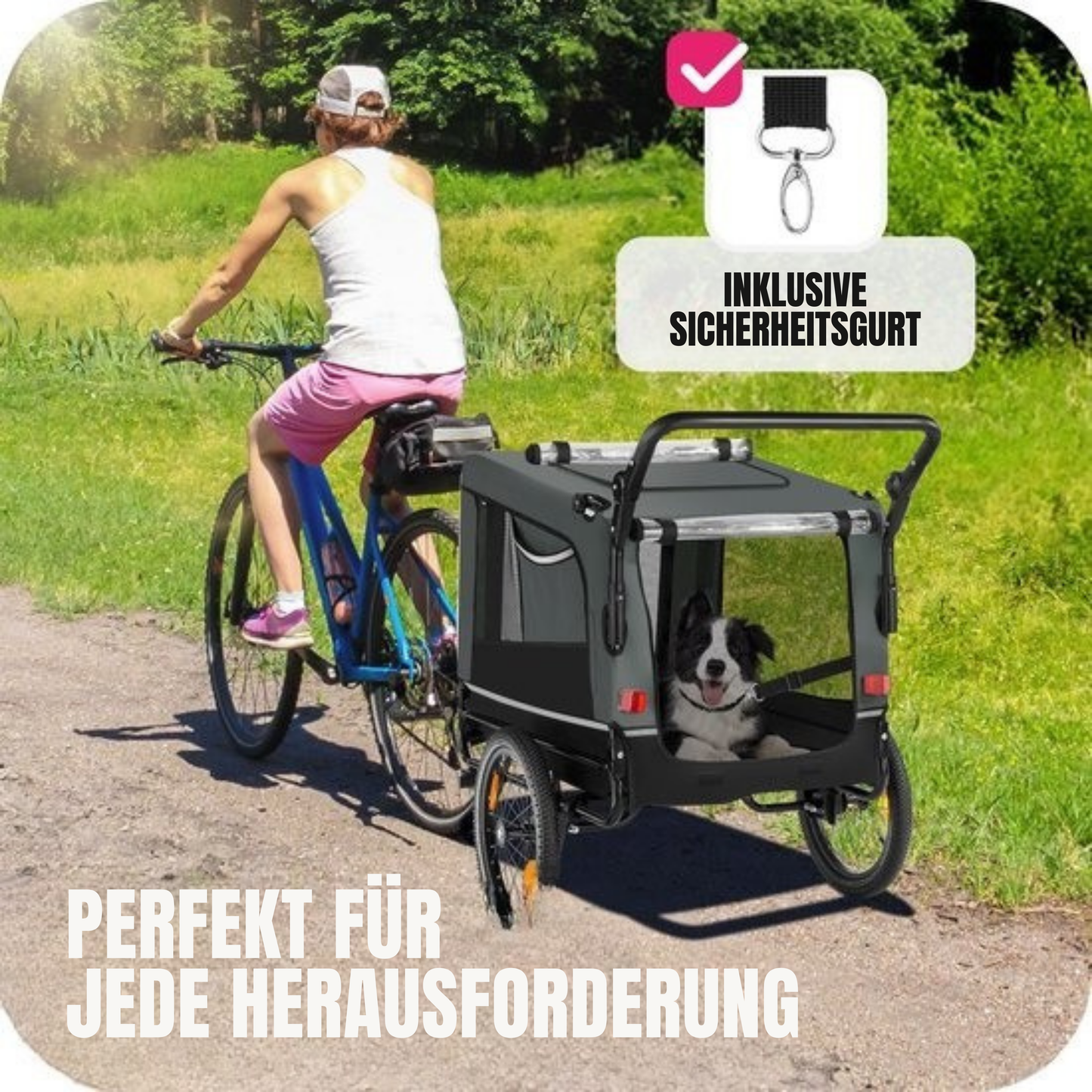Tectake Fahrradanhänger für Hunde - Zusammenklappbar - Bis zu 40 kg - Grau
