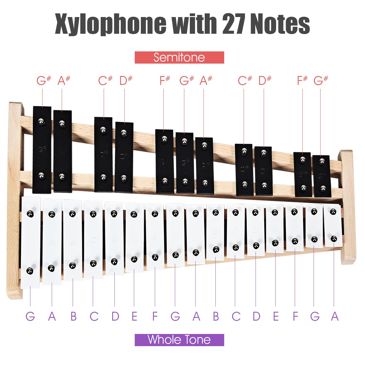 Coast Xylophon 27 Noten - Glockenspiel mit Tragetasche und 2 Hämmern - 43,5 x 24 x 4 cm - Schwarz/Weiß