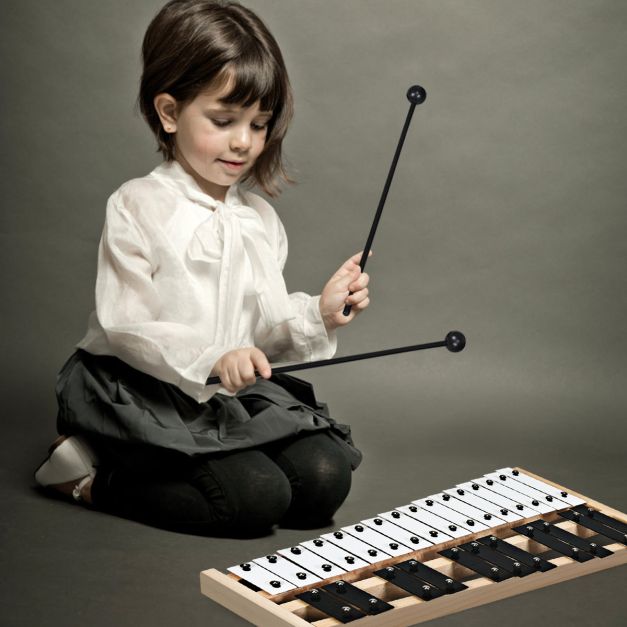 Coast Xylophon 27 Noten - Glockenspiel mit Tragetasche und 2 Hämmern - 43,5 x 24 x 4 cm - Schwarz/Weiß